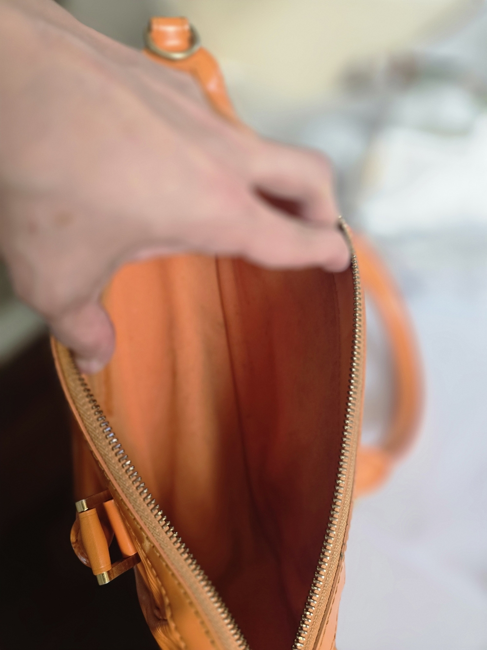 Louis Vuitton Epi Leather Dhanura PM Bag - Picture 10 of 12